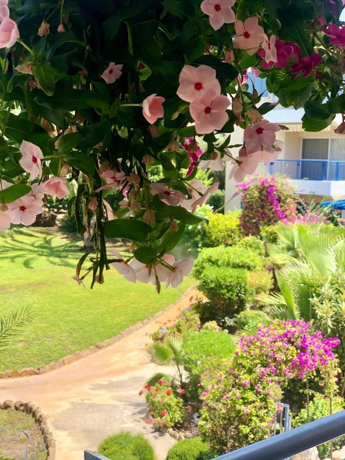 Paradise Gardens With A Large Terrace Paphos Exteriör bild