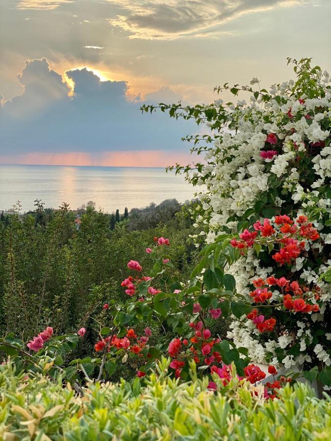 Paradise Gardens With A Large Terrace Paphos Exteriör bild