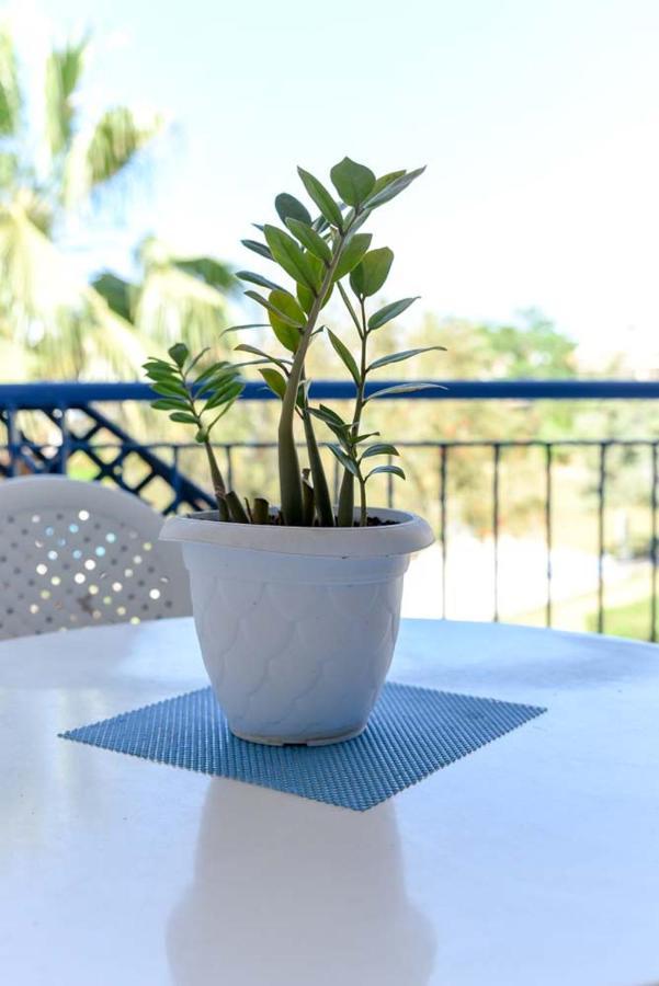 Paradise Gardens With A Large Terrace Paphos Exteriör bild